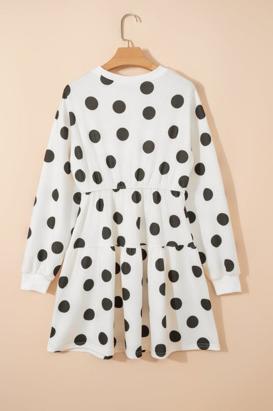 Polka Dot Long Sleeve Flared Mini Dress