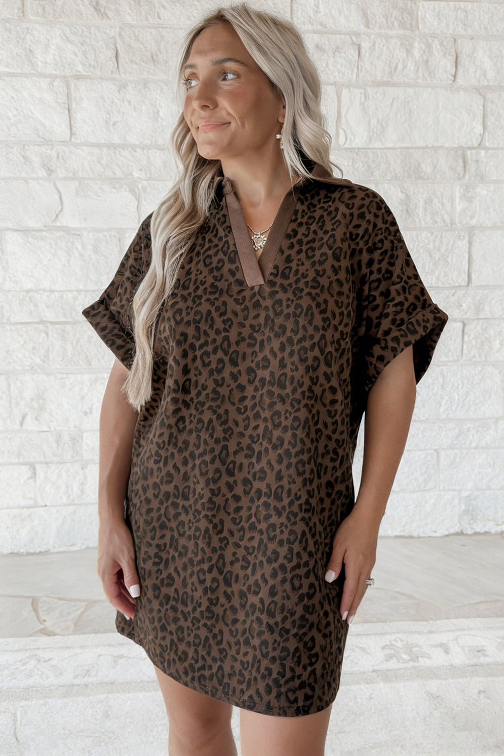 Brown Leopard Print Contrast Collar V-Neck Mini Dress