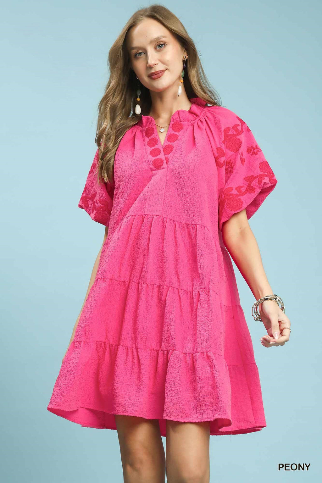 Embroidered Tiered Puff Sleeve Mini Dress