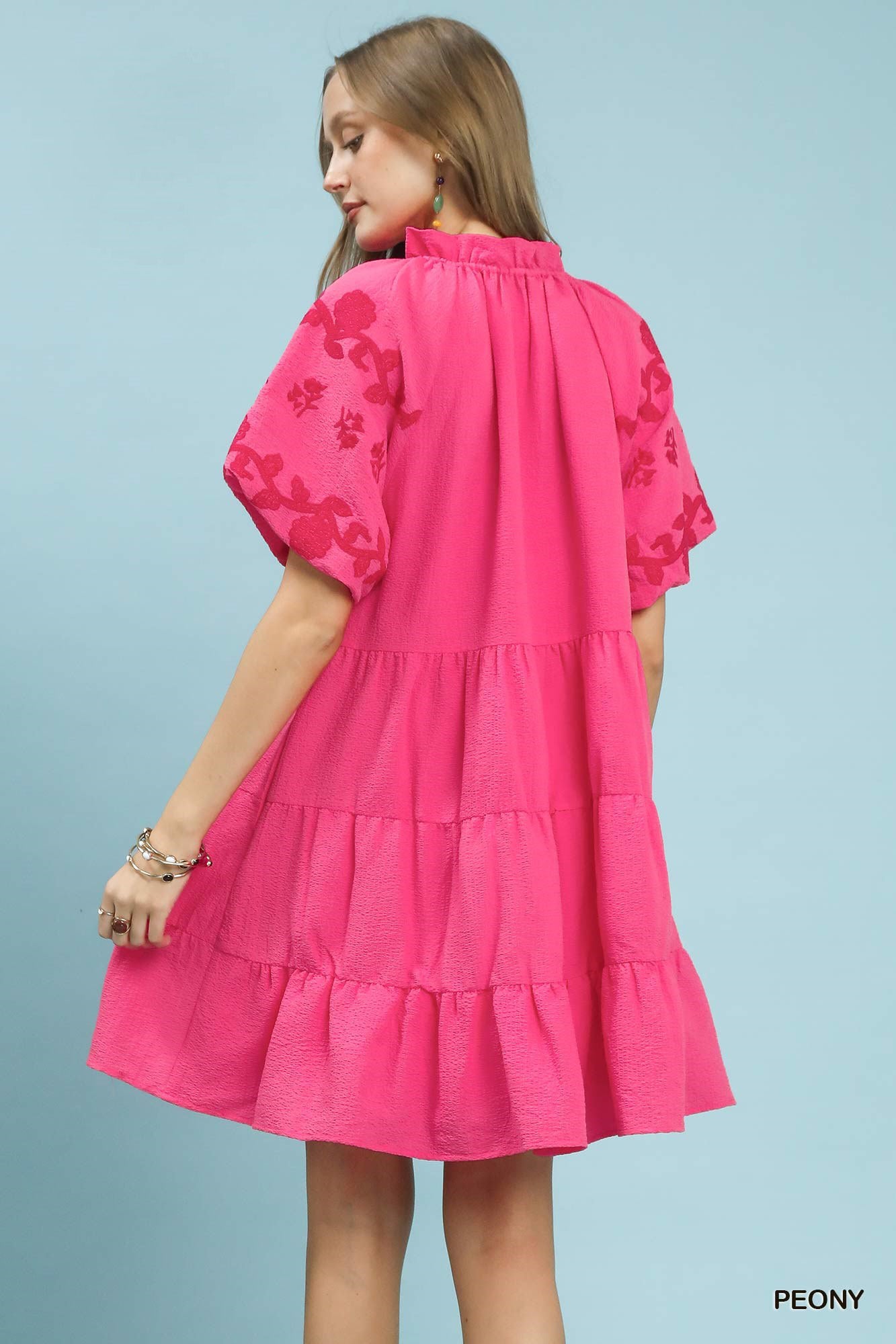 Embroidered Tiered Puff Sleeve Mini Dress